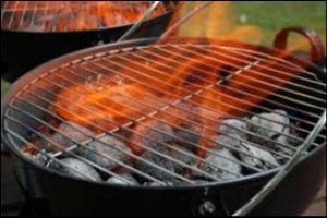 Sawdust Charcoal - the best choice for BBQ
